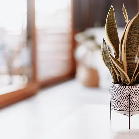 Apartment Am Bodensee