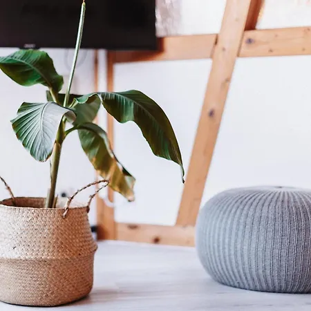 Apartment Am Bodensee Moos (Baden-Wurttemberg)