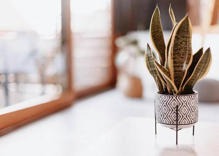 Appartement Am Bodensee