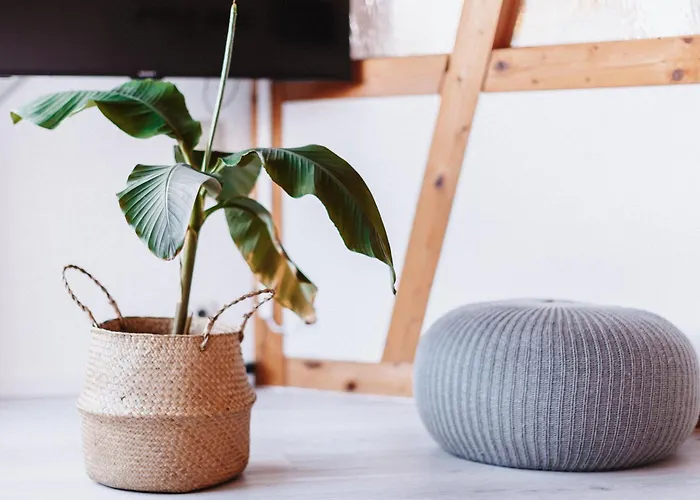 Apartment Am Bodensee Moos (Baden-Wurttemberg)