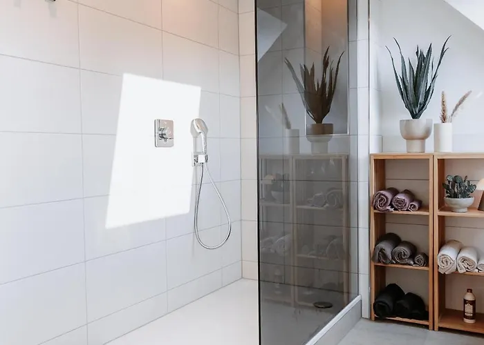 Am Bodensee Moos (Baden-Wurttemberg)